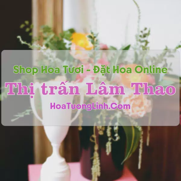 Shop Hoa Tươi Thị Trấn Lâm Thao - Phú Thọ