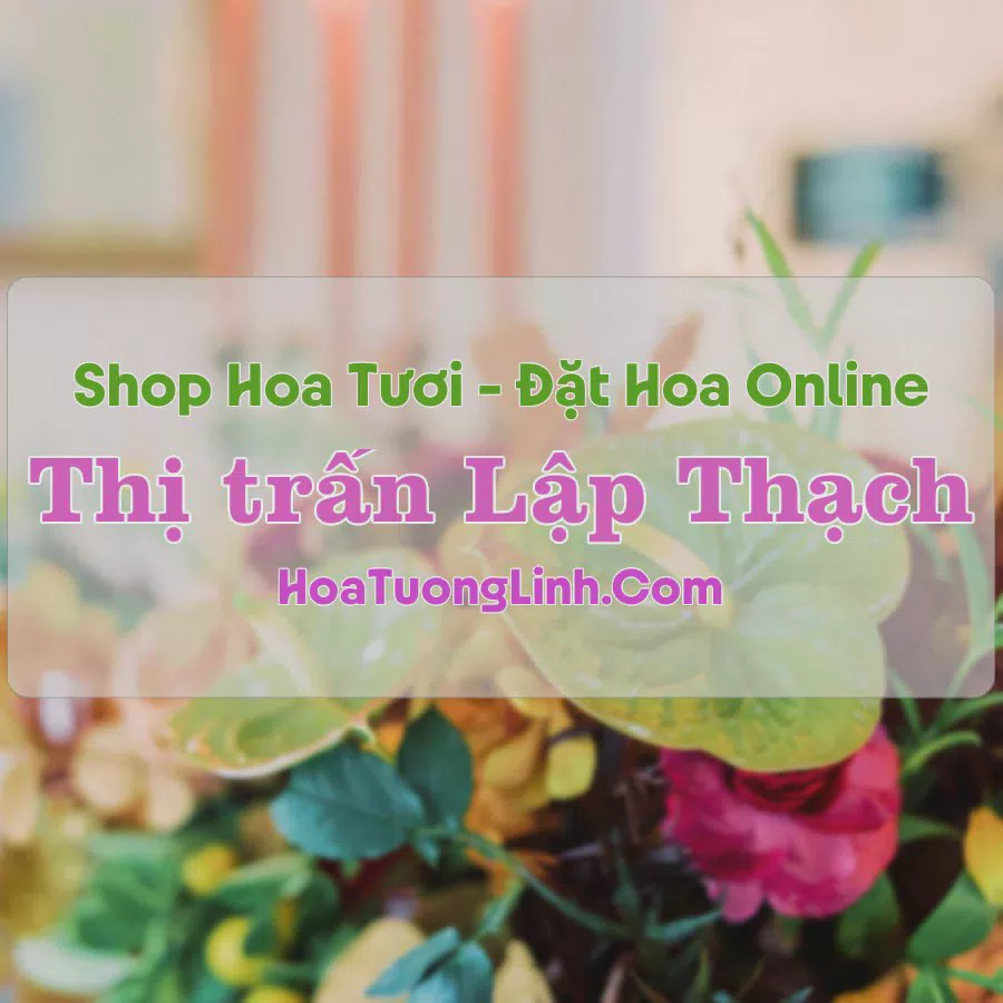 Shop Hoa Tươi Thị Trấn Lập Thạch - Vĩnh Phúc