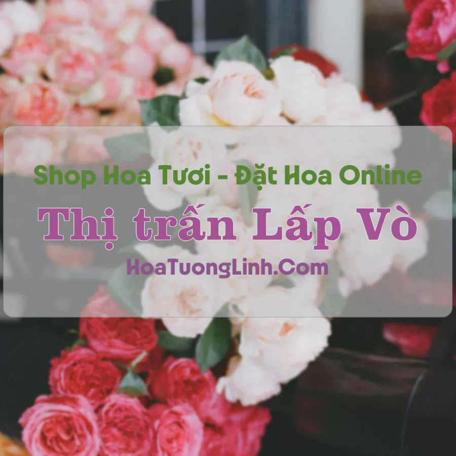 Shop Hoa Tươi Thị trấn Lấp Vò - Đồng Tháp