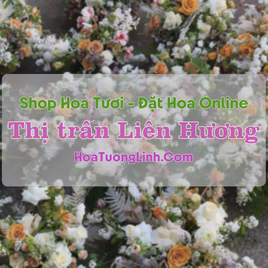 Shop Hoa Tươi Thị trấn Liên Hương - Bình Thuận