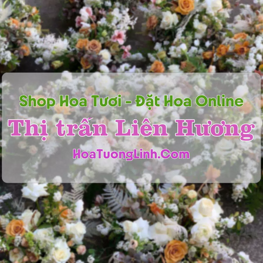 Shop Hoa Tươi Thị trấn Liên Hương – Bình Thuận