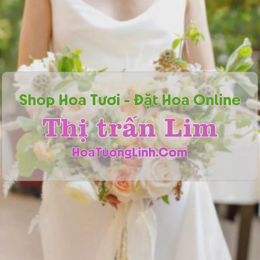 Shop Hoa Tươi Thị Trấn Lim - Bắc Ninh
