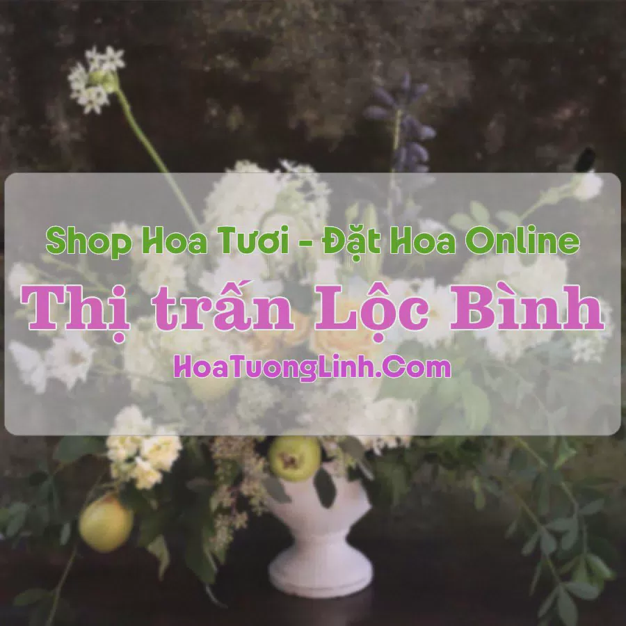 Shop Hoa Tươi Thị Trấn Lộc Bình - Lạng Sơn