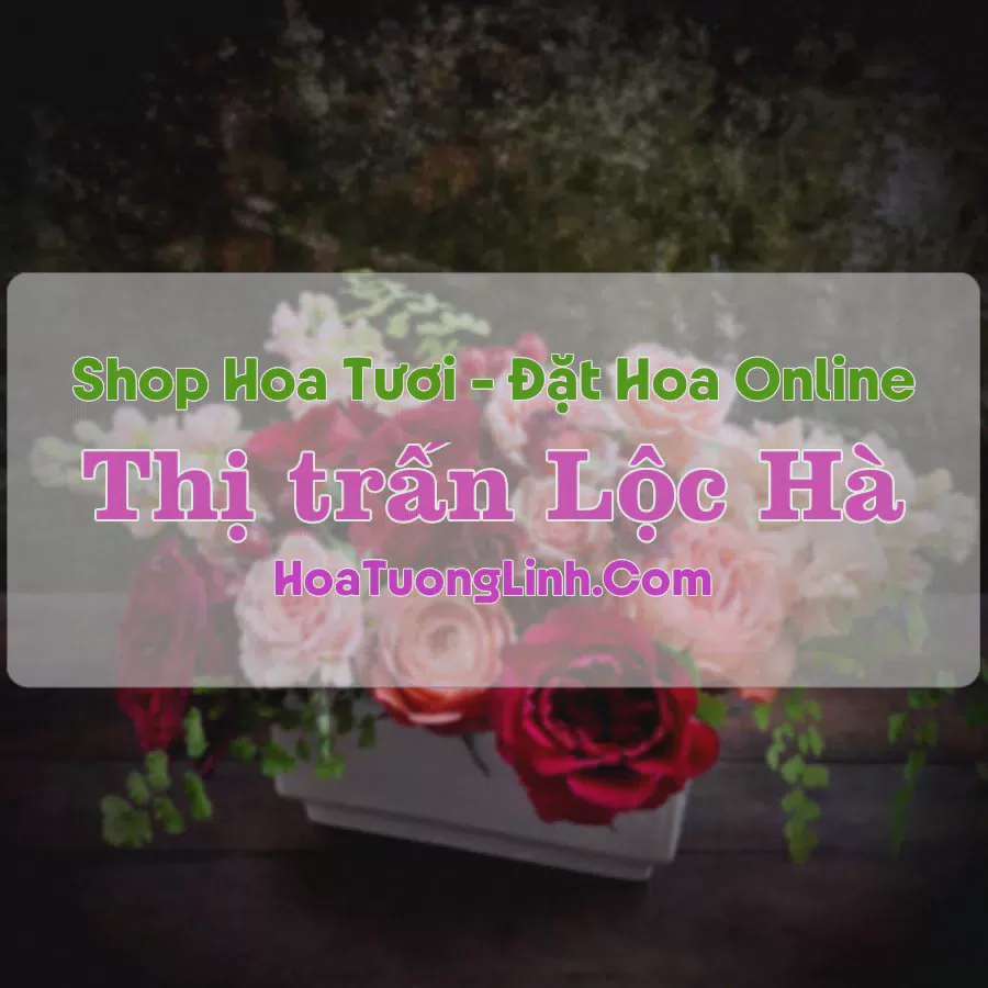 Shop Hoa Tươi Thị trấn Lộc Hà - Hà Tĩnh
