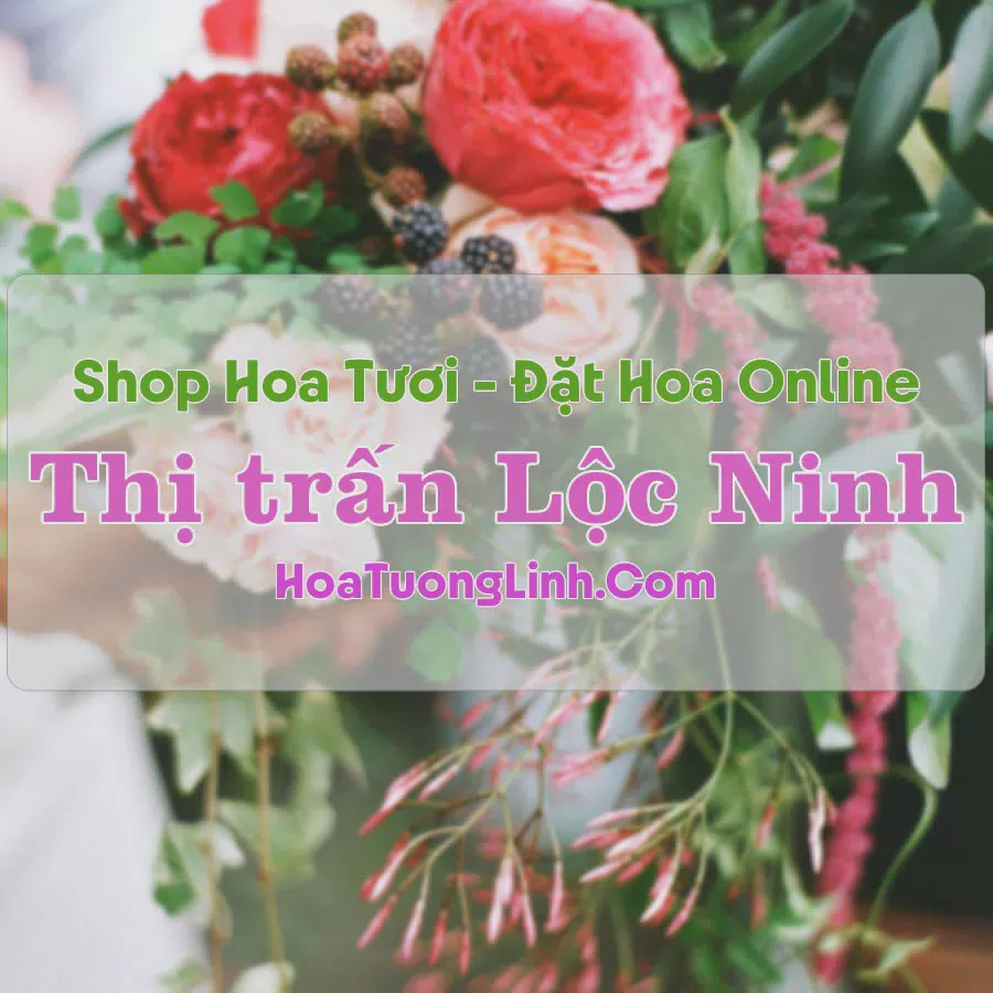 Shop Hoa Tươi Thị trấn Lộc Ninh - Bình Phước