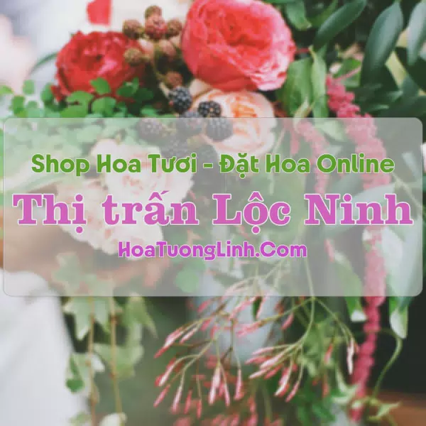Shop Hoa Tươi Thị trấn Lộc Ninh - Bình Phước