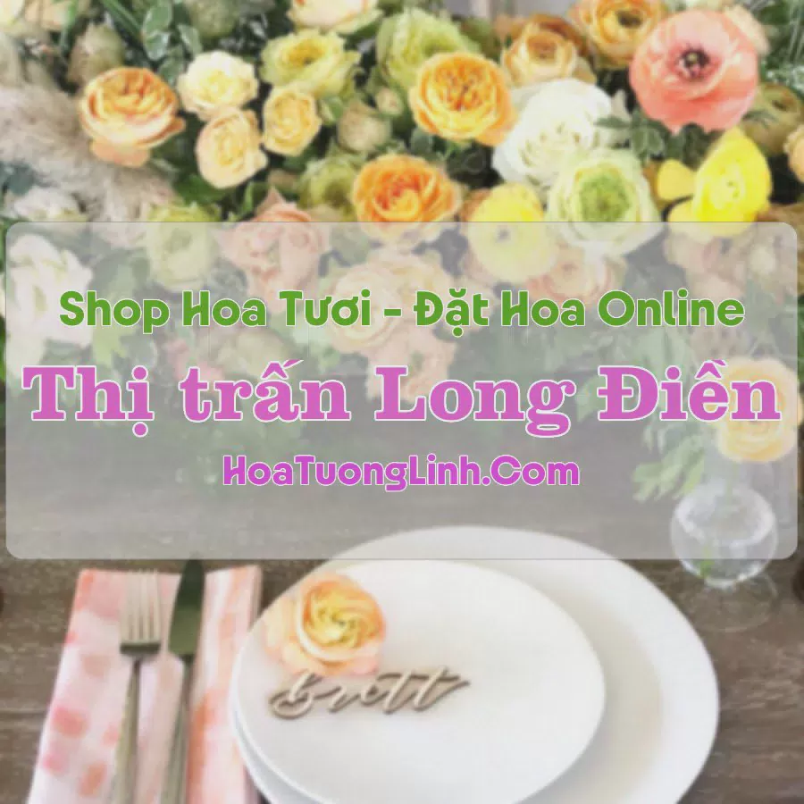 Shop Hoa Tươi Thị trấn Long Điền - Bà Rịa - Vũng Tàu