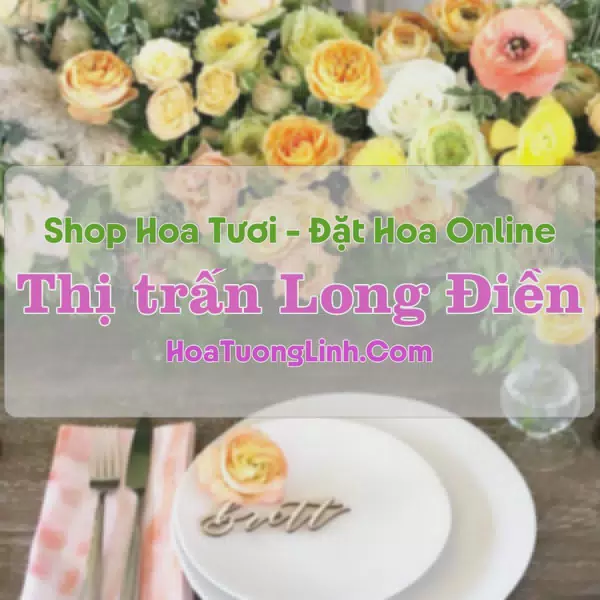 Shop Hoa Tươi Thị trấn Long Điền - Bà Rịa - Vũng Tàu