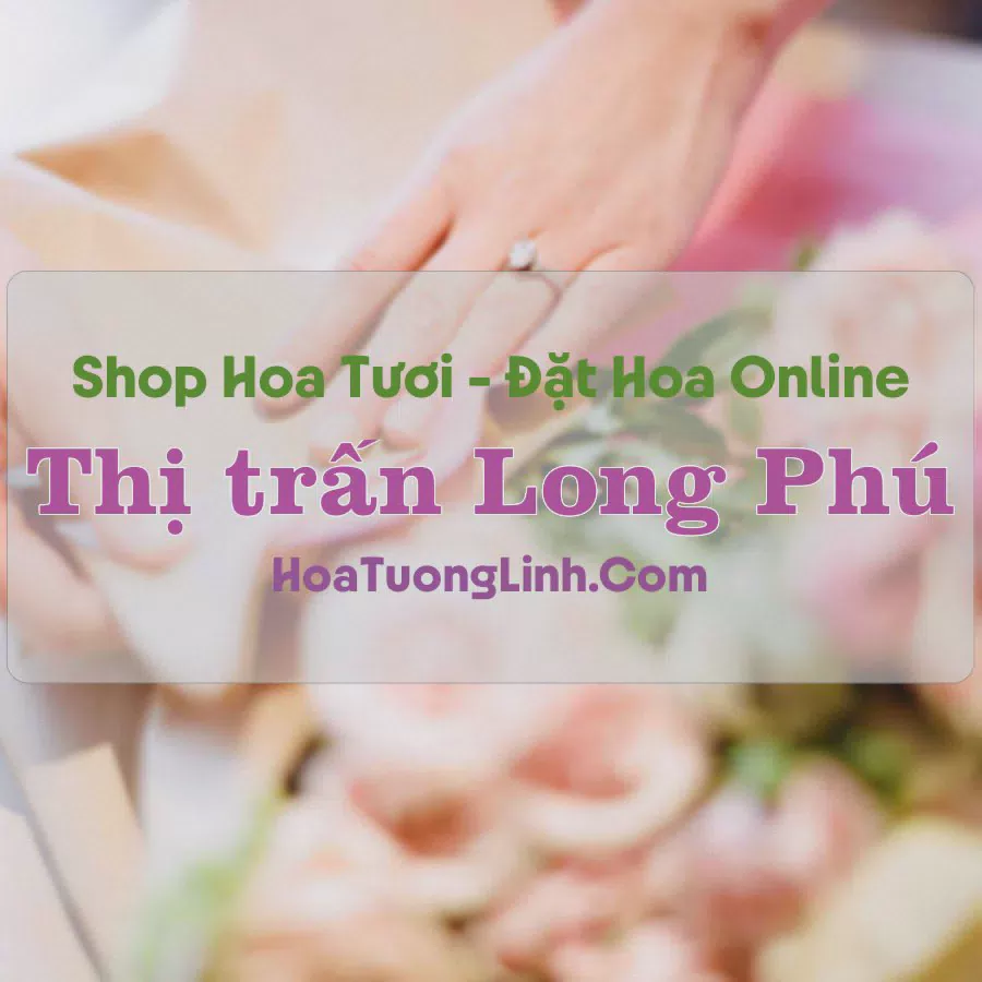 Shop Hoa Tươi Thị Trấn Long Phú - Sóc Trăng