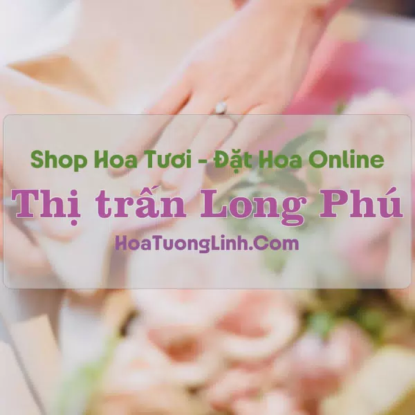 Shop Hoa Tươi Thị Trấn Long Phú - Sóc Trăng