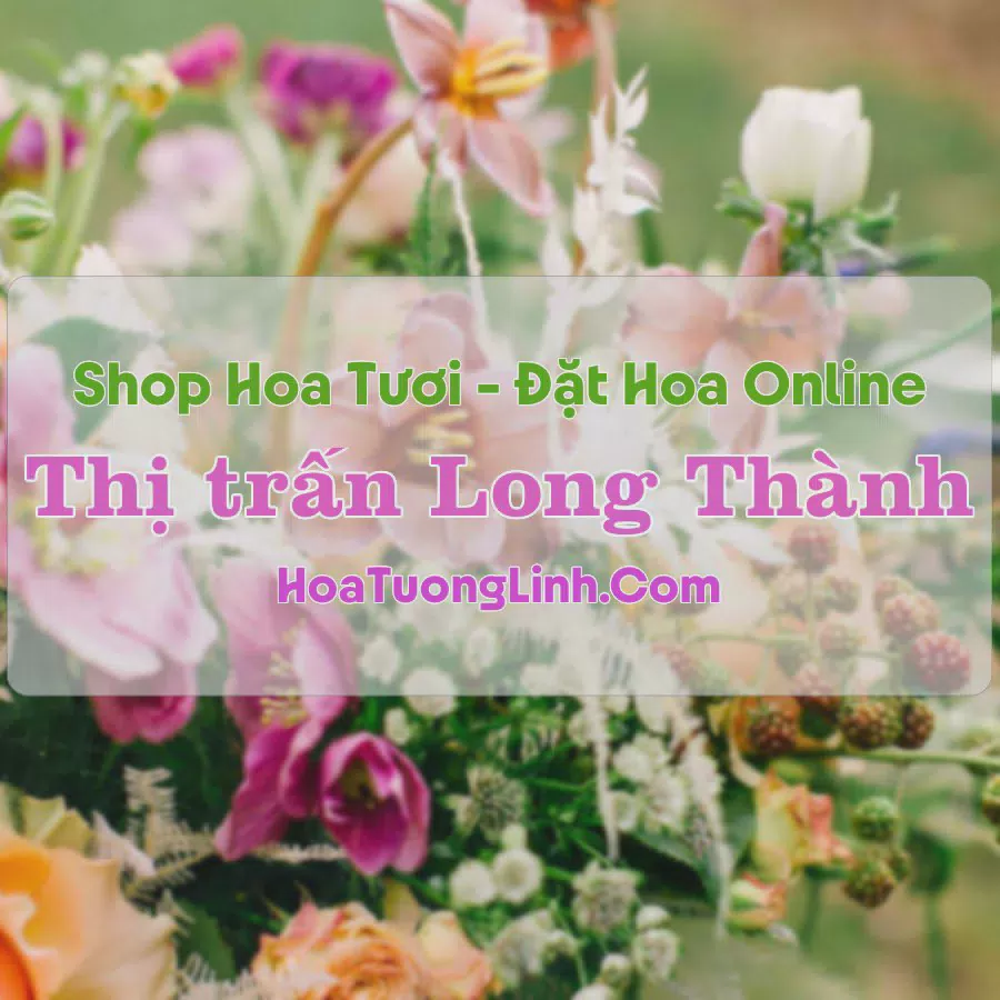 Shop Hoa Tươi Thị Trấn Long Thành - Đồng Nai