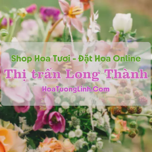 Shop Hoa Tươi Thị Trấn Long Thành - Đồng Nai