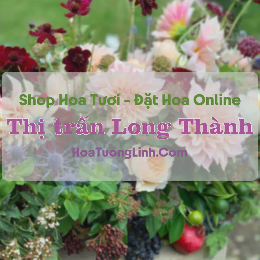 Shop Hoa Tươi Thị Trấn Long Thành - Trà Vinh