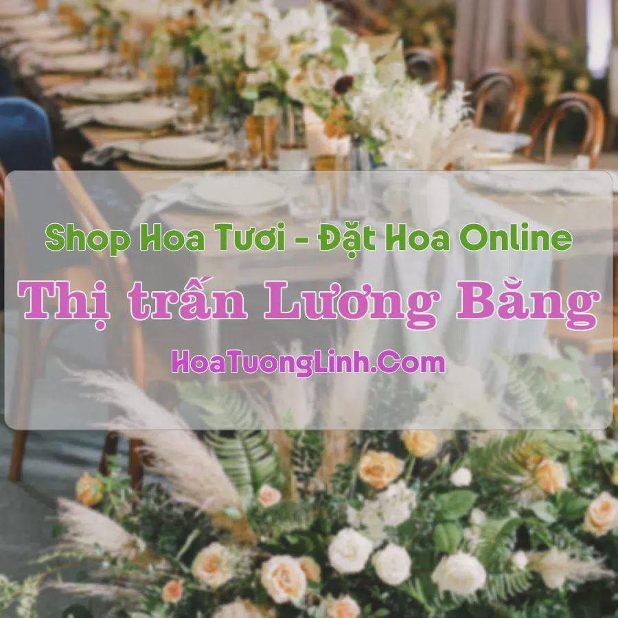 Shop Hoa Tươi Thị Trấn Lương Bằng - Hưng Yên
