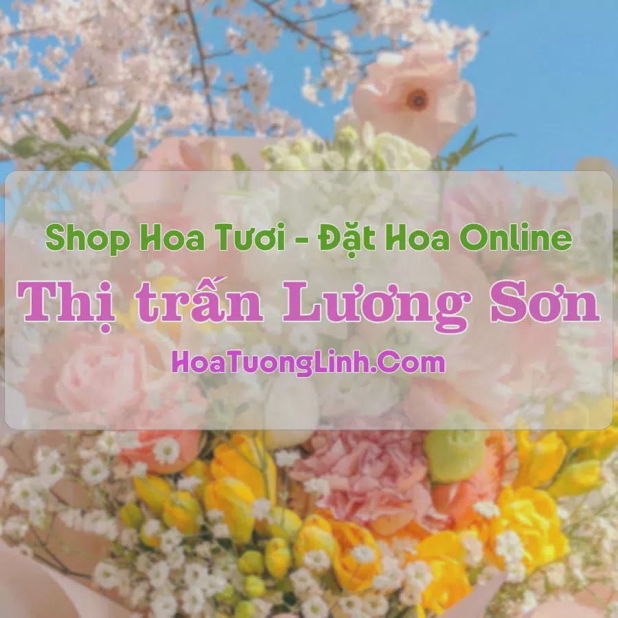 Shop Hoa Tươi Thị trấn Lương Sơn - Bình Thuận