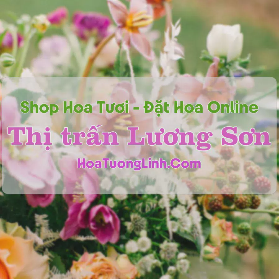 Shop Hoa Tươi Thị Trấn Lương Sơn - Hòa Bình