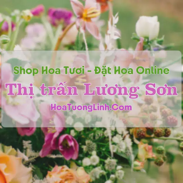 Shop Hoa Tươi Thị Trấn Lương Sơn - Hòa Bình