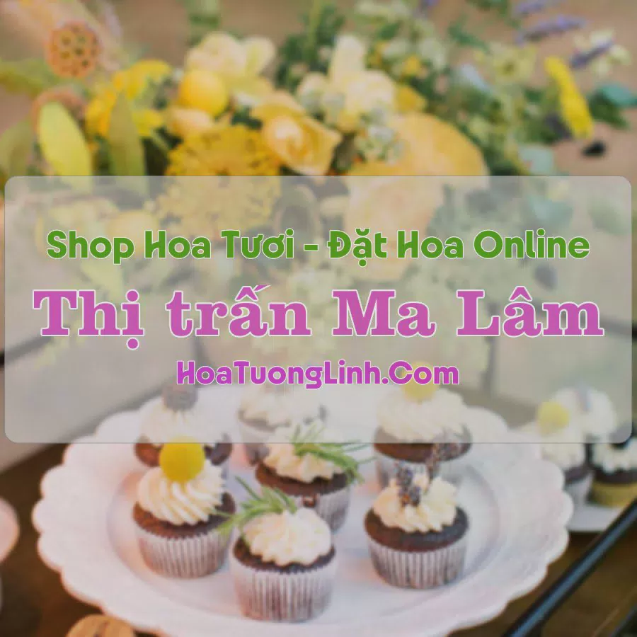 Shop Hoa Tươi Thị trấn Ma Lâm - Bình Thuận