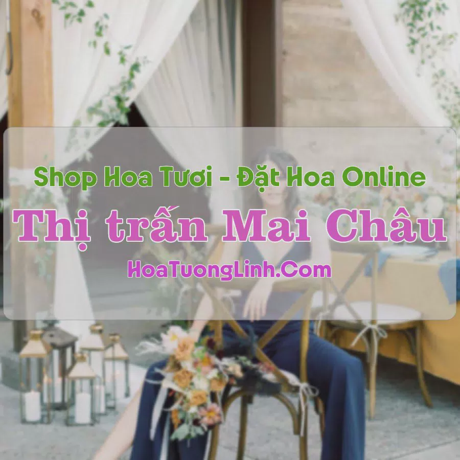 Shop Hoa Tươi Thị Trấn Mai Châu - Hòa Bình