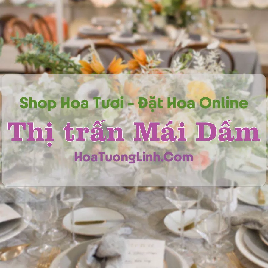 Shop Hoa Tươi Thị trấn Mái Dầm – Hậu Giang