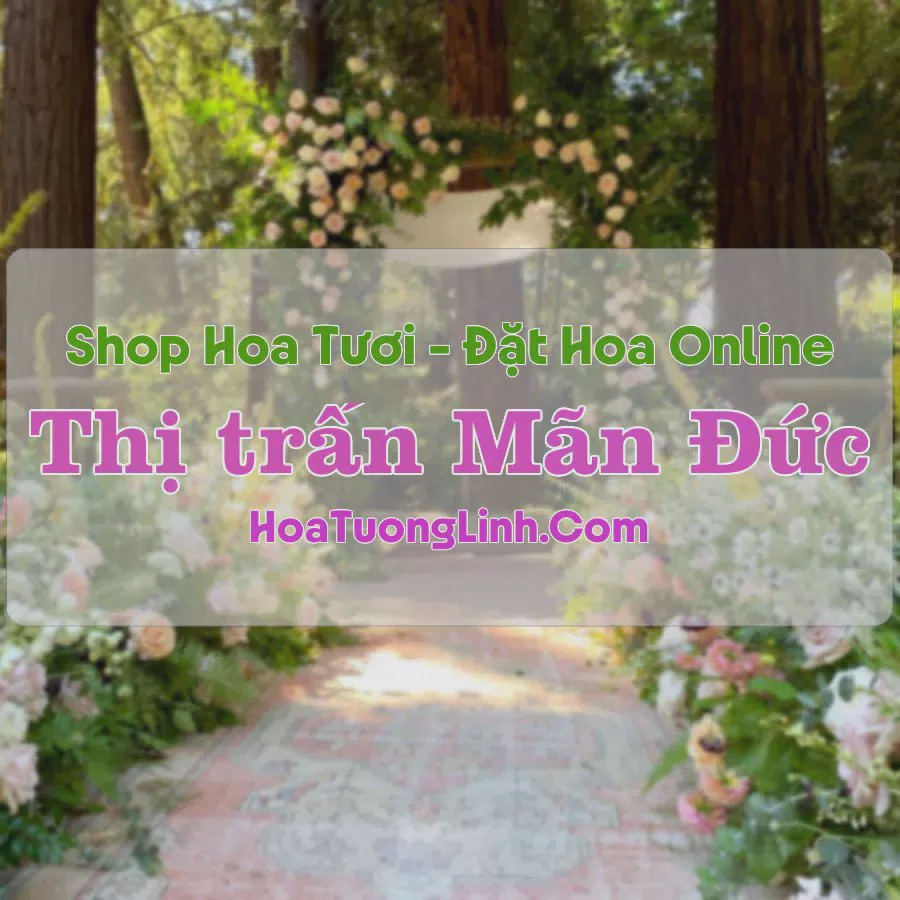 Shop Hoa Tươi Thị Trấn Mãn Đức - Hòa Bình