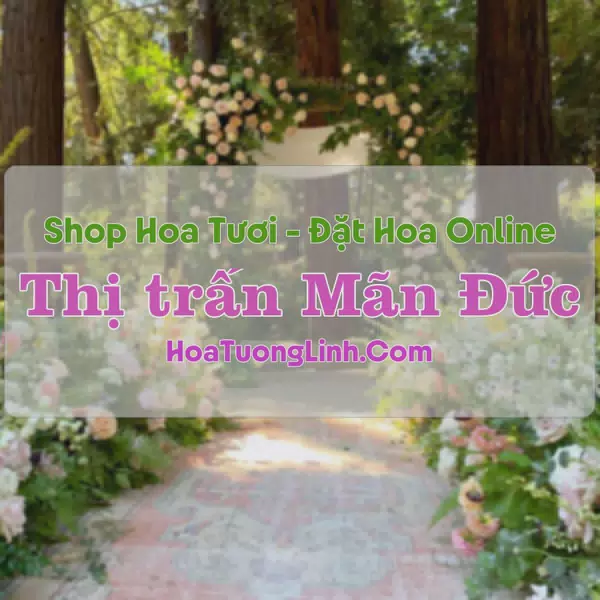Shop Hoa Tươi Thị Trấn Mãn Đức - Hòa Bình
