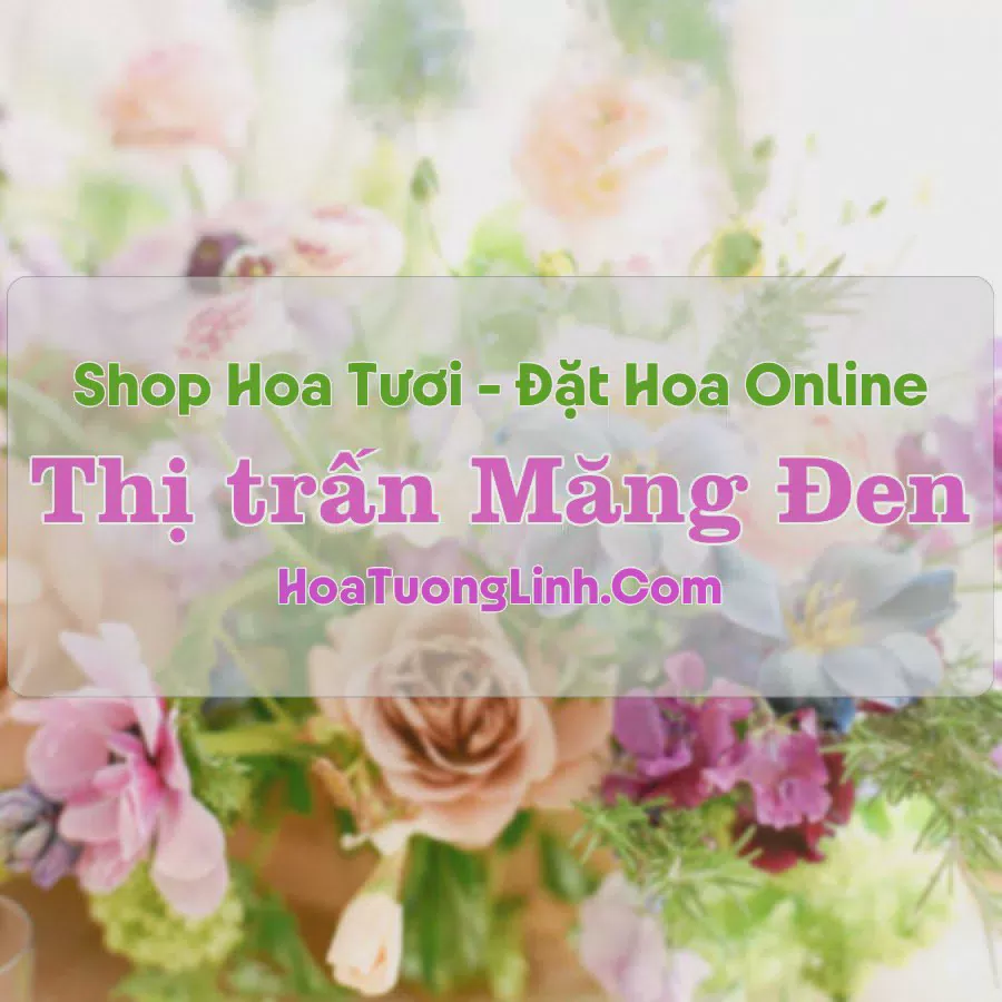 Shop Hoa Tươi Thị trấn Măng Đen - Kon Tum