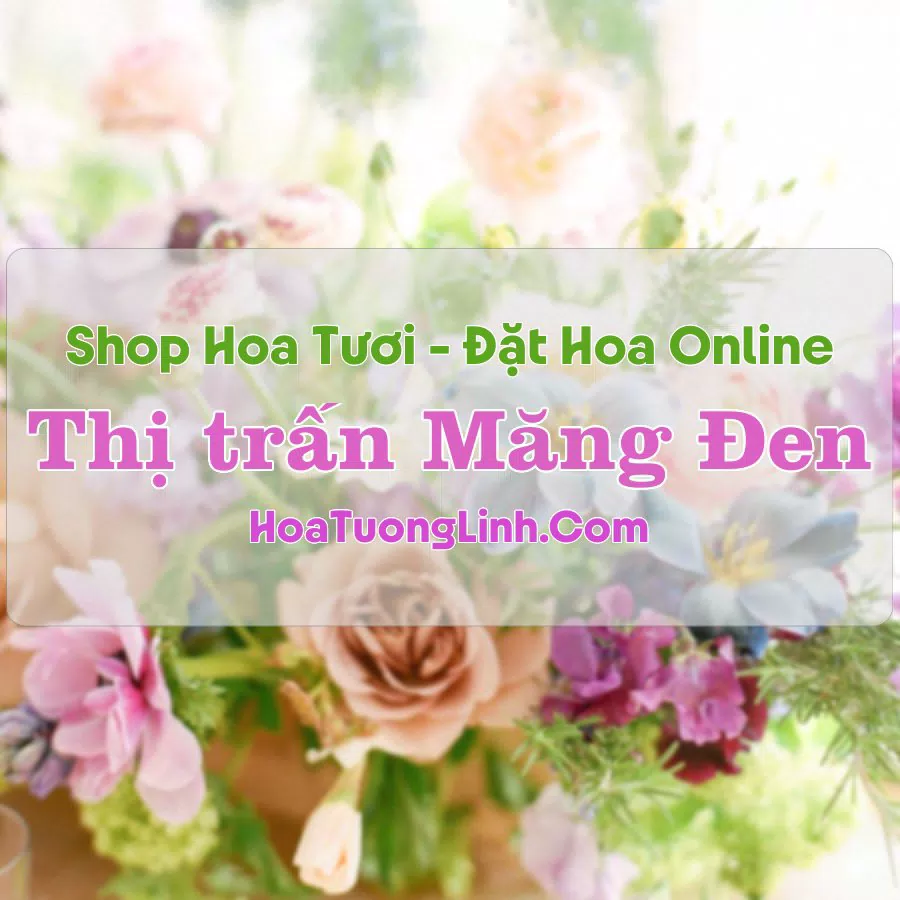 Shop Hoa Tươi Thị trấn Măng Đen – Kon Tum
