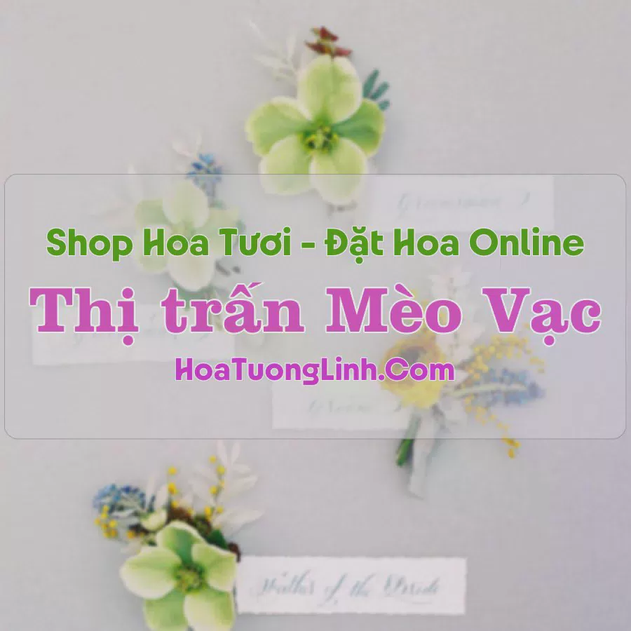 Shop Hoa Tươi Thị Trấn Mèo Vạc - Hà Giang