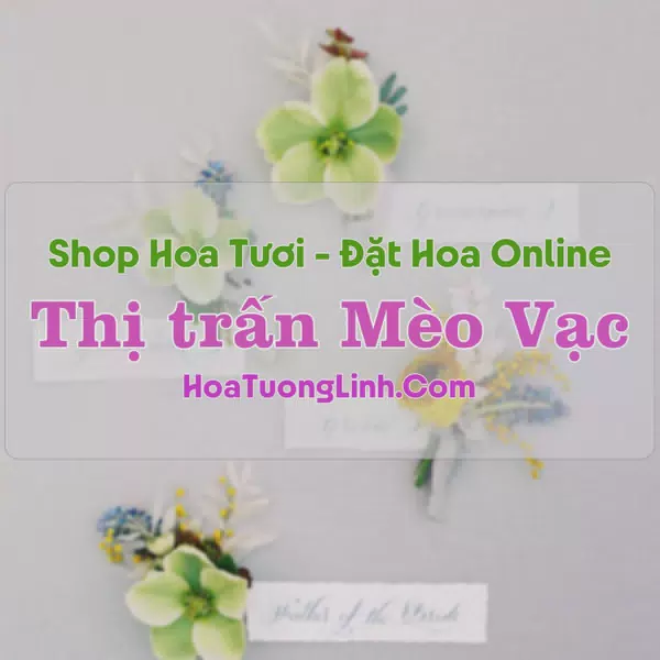 Shop Hoa Tươi Thị Trấn Mèo Vạc - Hà Giang