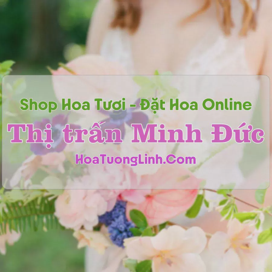 Shop Hoa Tươi Thị Trấn Minh Đức - Hải Phòng
