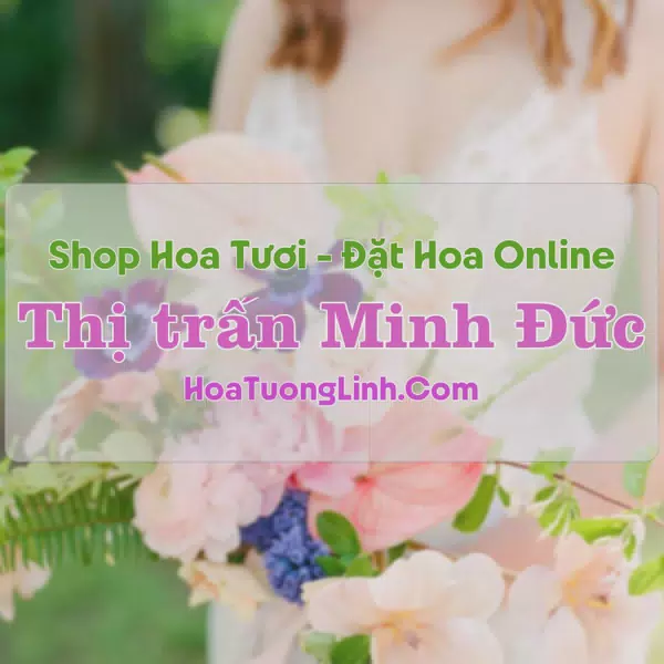 Shop Hoa Tươi Thị Trấn Minh Đức - Hải Phòng