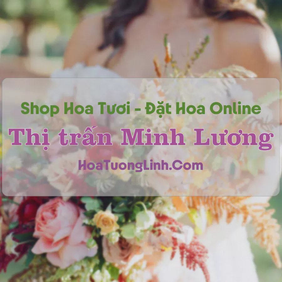 Shop Hoa Tươi Thị Trấn Minh Lương - Kiên Giang