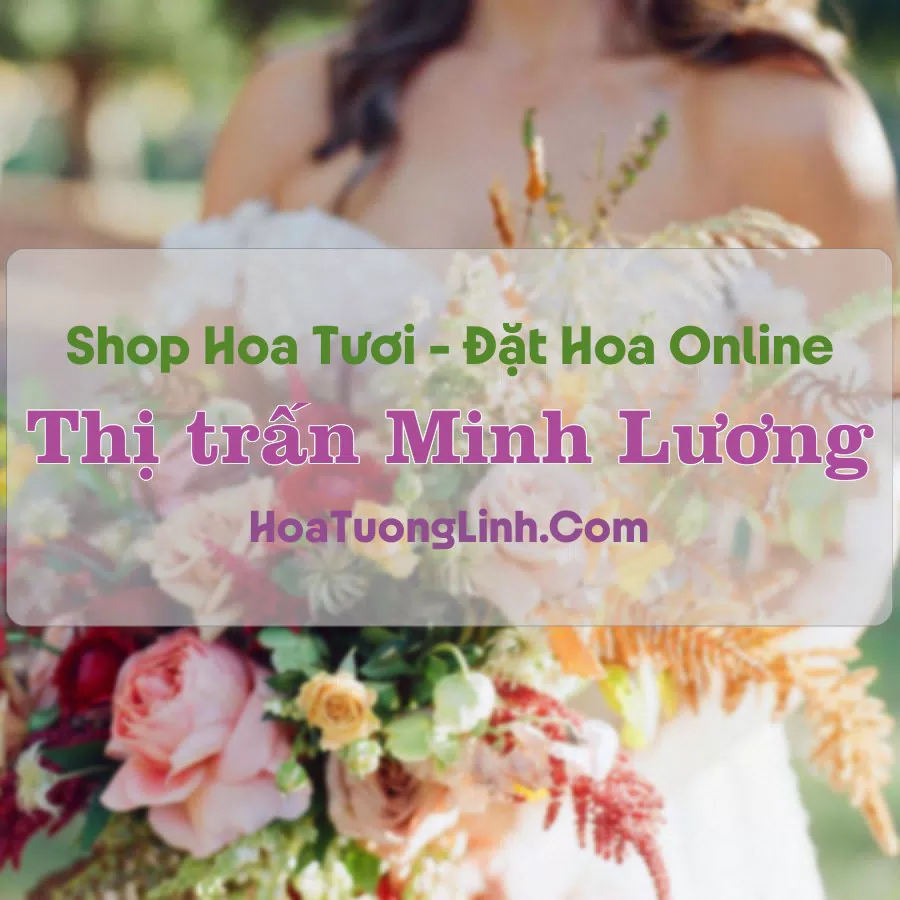 Shop Hoa Tươi Thị Trấn Minh Lương – Kiên Giang