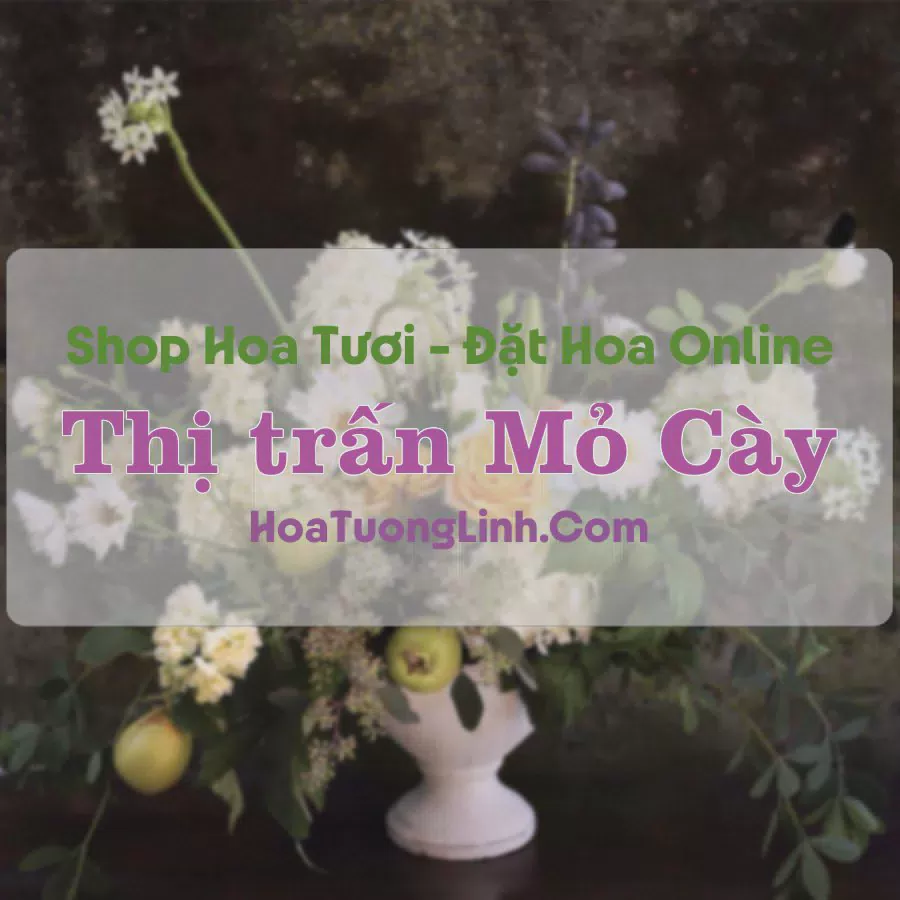 Shop Hoa Tươi Thị trấn Mỏ Cày - Bến Tre