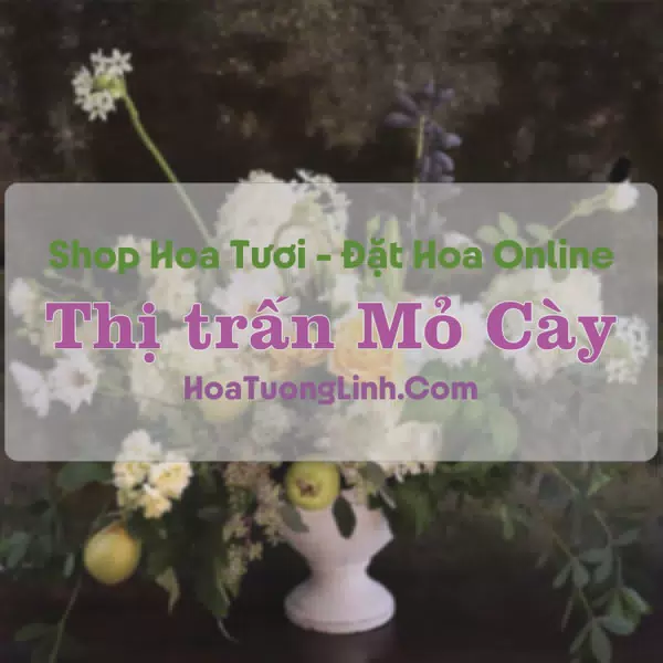 Shop Hoa Tươi Thị trấn Mỏ Cày - Bến Tre