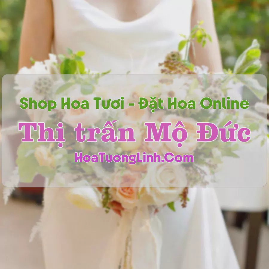 Shop Hoa Tươi Thị Trấn Mộ Đức - Quảng Ngãi