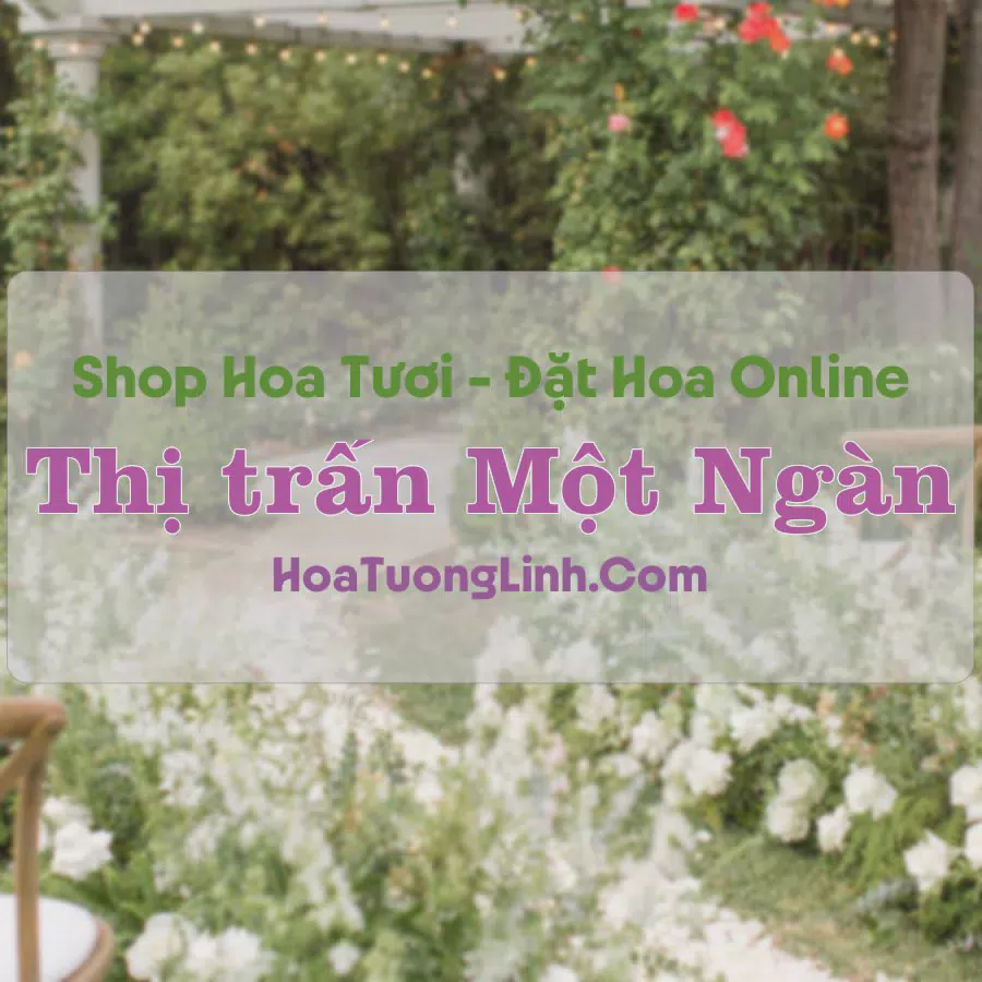 Shop Hoa Tươi Thị trấn Một Ngàn - Hậu Giang
