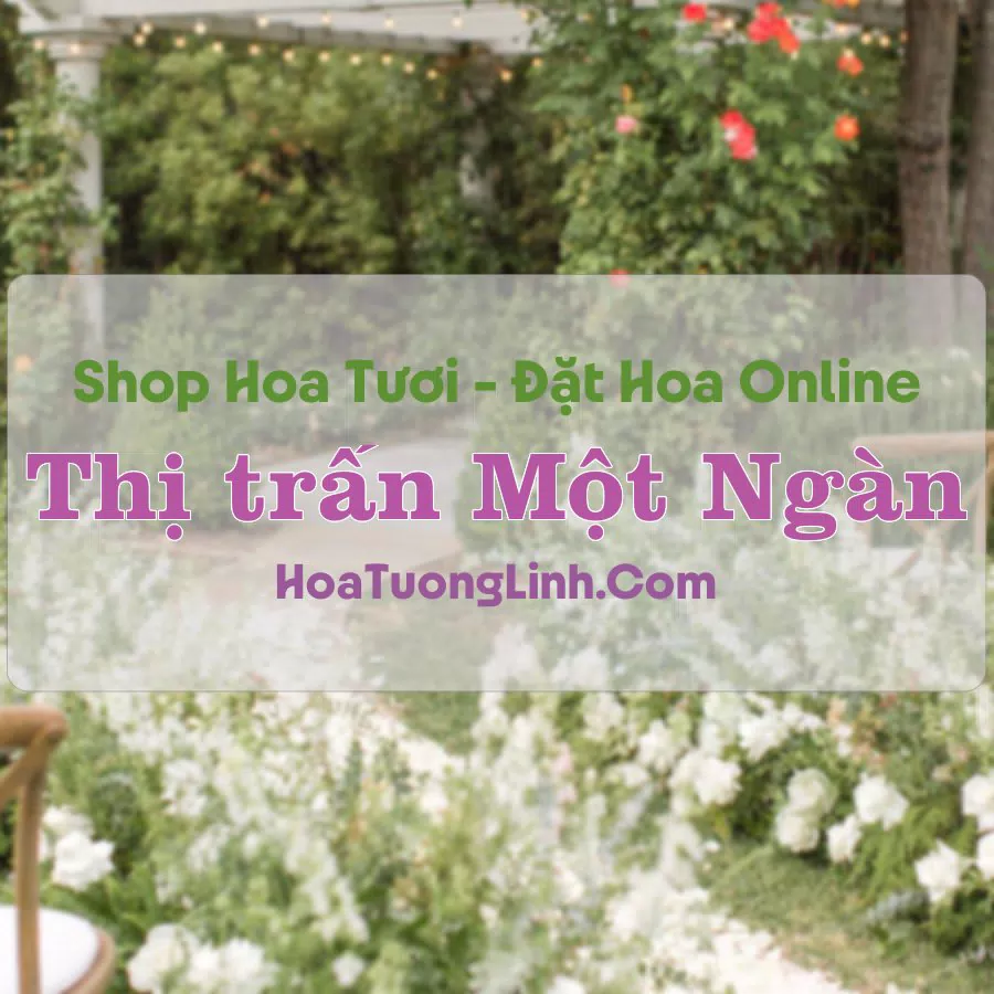Shop Hoa Tươi Thị trấn Một Ngàn – Hậu Giang