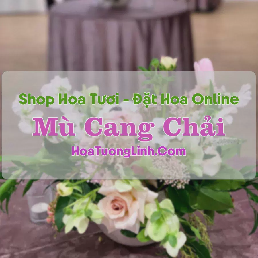 Shop Hoa Tươi Thị Trấn Mù Cang Chải - Yên Bái