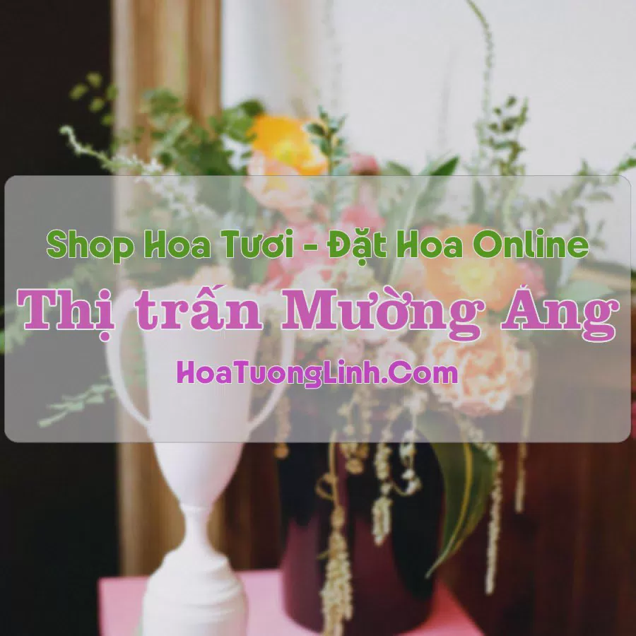 Shop Hoa Tươi Thị Trấn Mường Ảng - Điện Biên