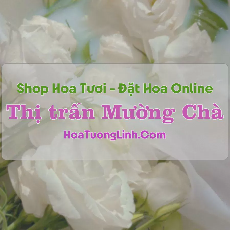Shop Hoa Tươi Thị Trấn Mường Chà - Điện Biên