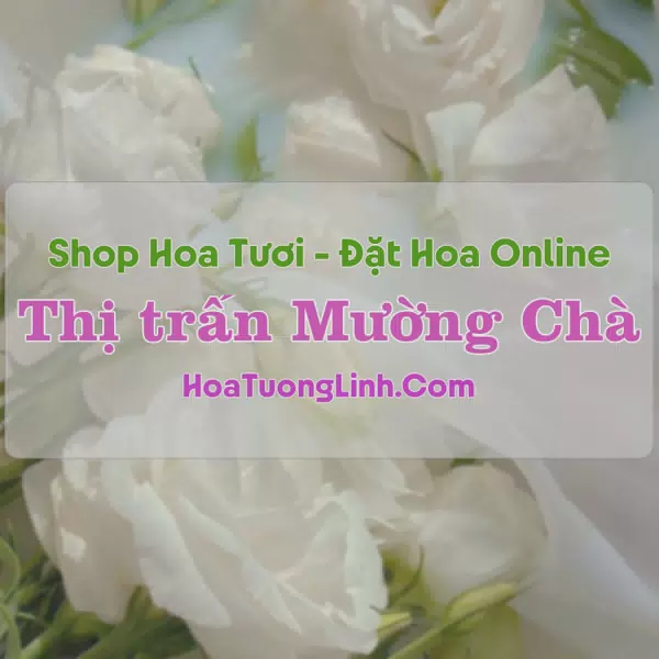 Shop Hoa Tươi Thị Trấn Mường Chà - Điện Biên