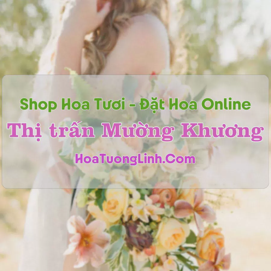 Shop Hoa Tươi Thị Trấn Mường Khương - Lào Cai