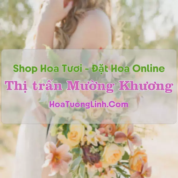 Shop Hoa Tươi Thị Trấn Mường Khương - Lào Cai