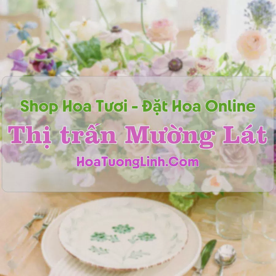 Shop Hoa Tươi Thị Trấn Mường Lát - Thanh Hóa