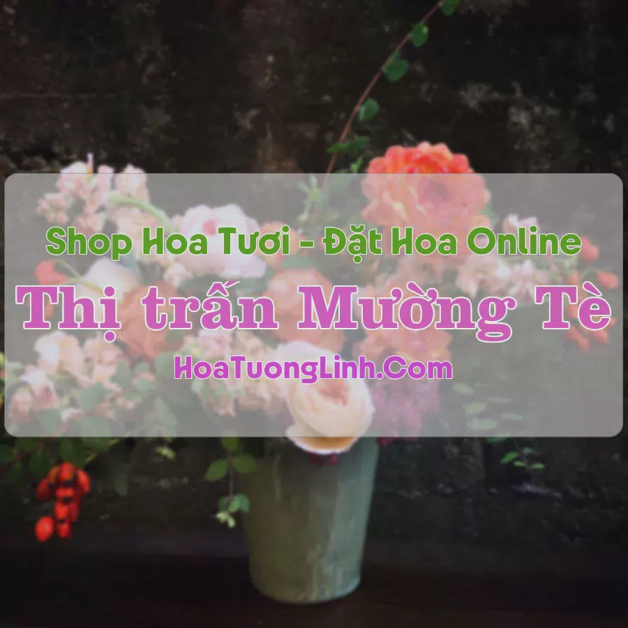 Shop Hoa Tươi Thị Trấn Mường Tè - Lai Châu