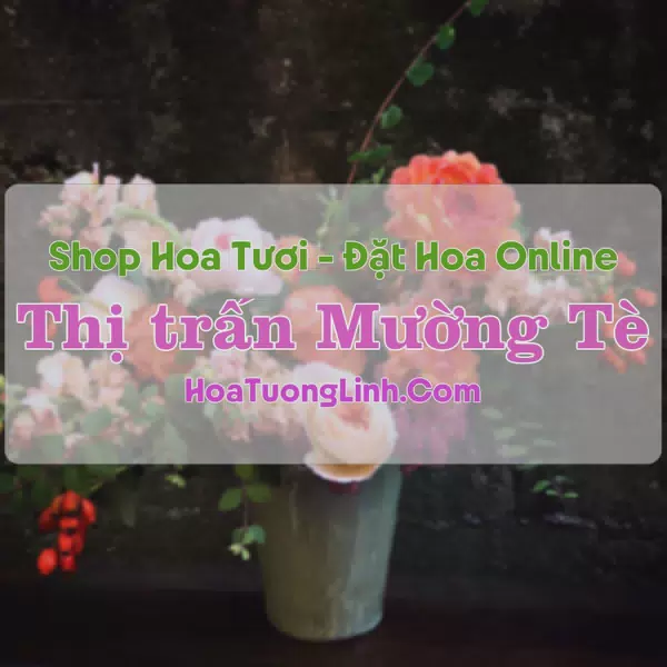 Shop Hoa Tươi Thị Trấn Mường Tè - Lai Châu