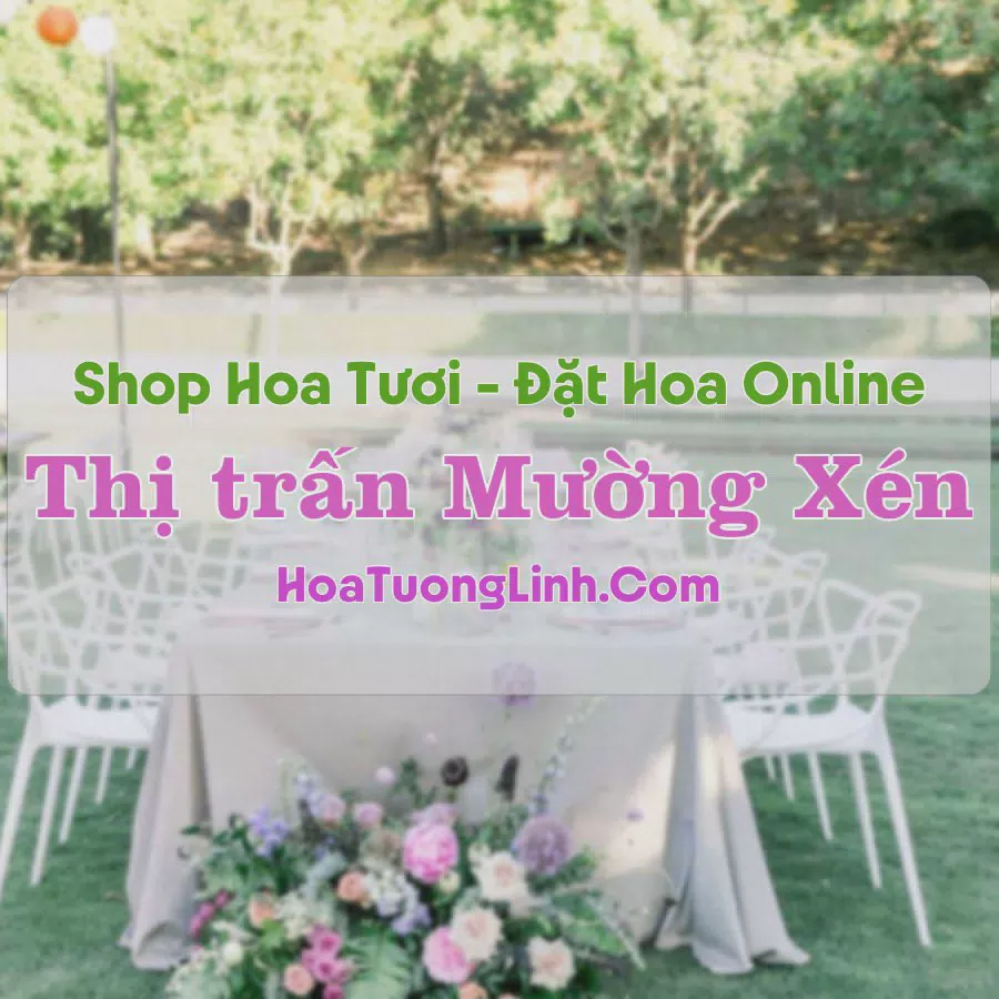 Shop Hoa Tươi Thị Trấn Mường Xén - Nghệ An