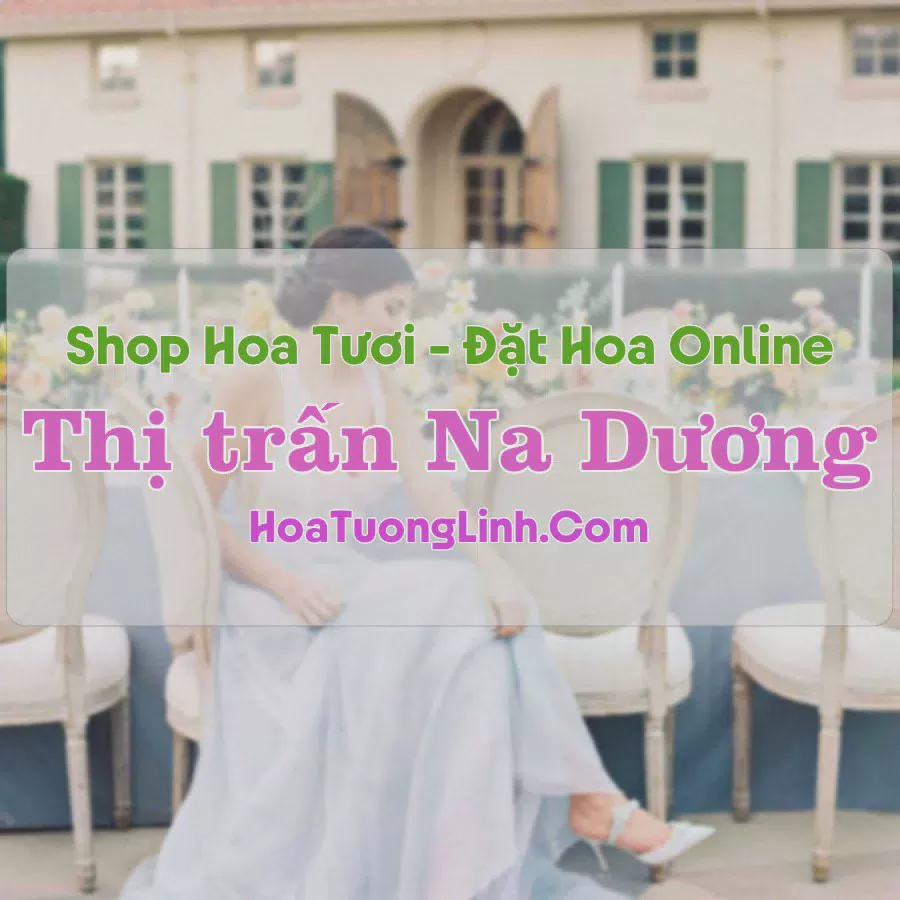 Shop Hoa Tươi Thị Trấn Na Dương - Lạng Sơn